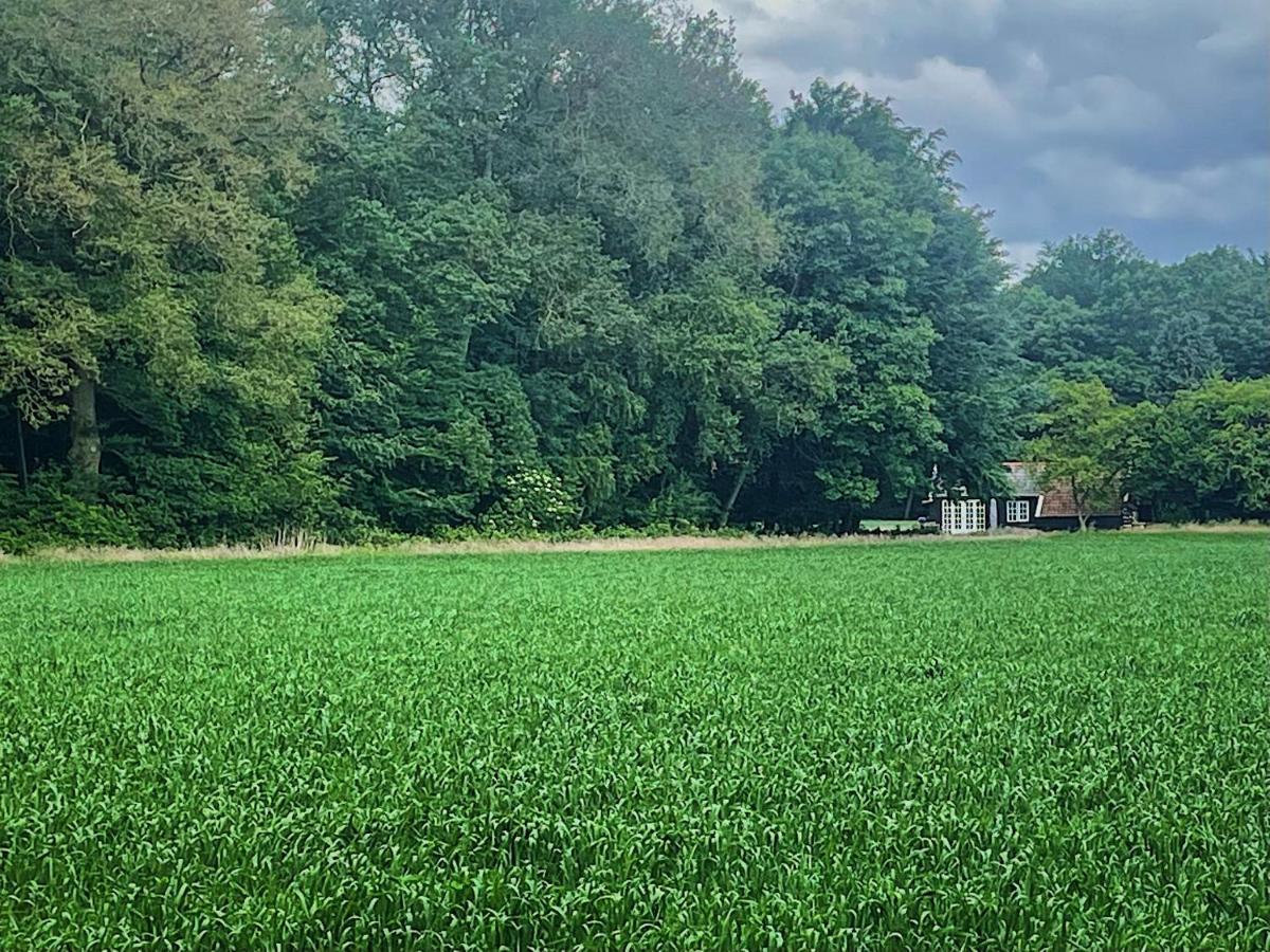 Natuurhuisje - Gastenverblijf De Kleine Hazerij Wijhe Exteriér fotografie